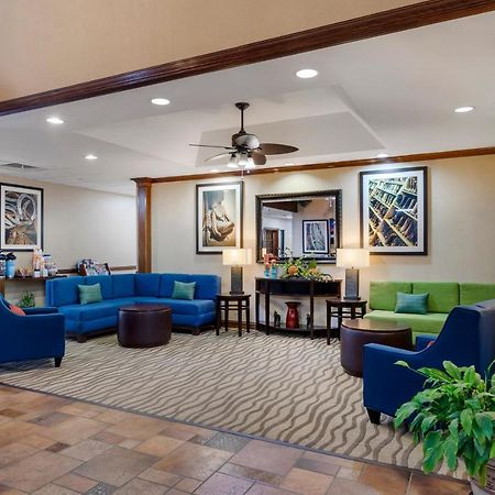 Comfort Suites Marshall Ngoại thất bức ảnh