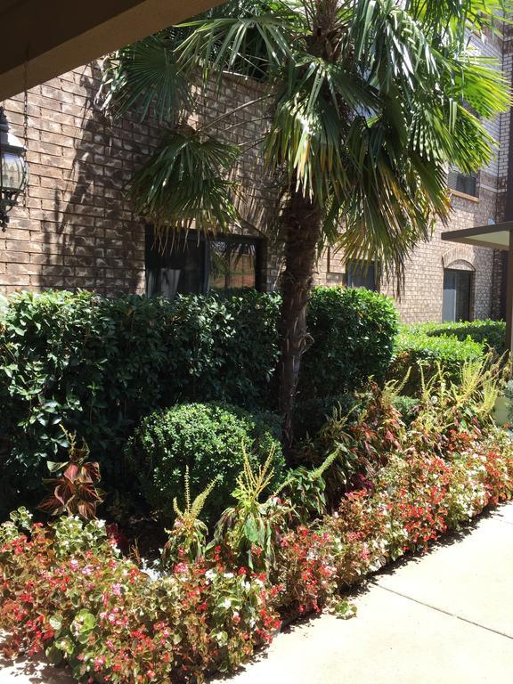Comfort Suites Marshall Ngoại thất bức ảnh